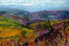 33. Bronte Country