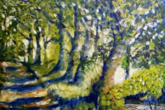 38. Wycoller