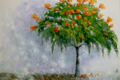 52. Tree, Madeira