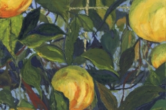 171.-Madeiran-Lemons